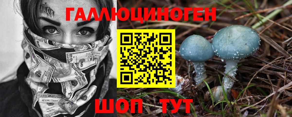 Братск  Псилоцибиновые грибы Psilocybe  Вход с VPN 